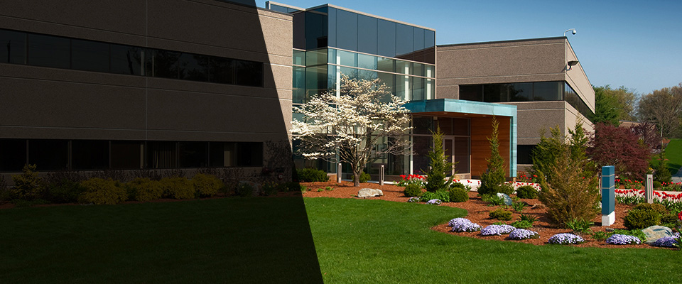 Wolf Point Landscapers