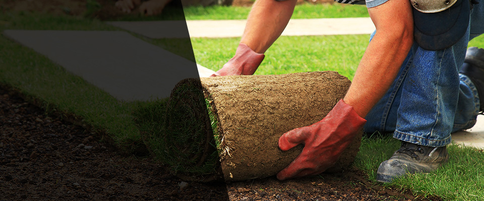 Wolf Point Landscapers